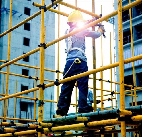 南苑新城 秋風起家音至，封頂已成，美好可期